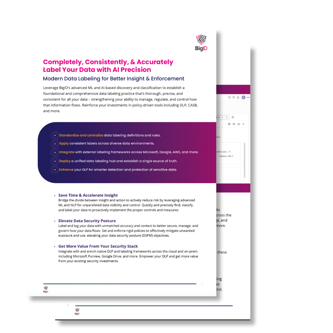 Data Labeling Solution Brief